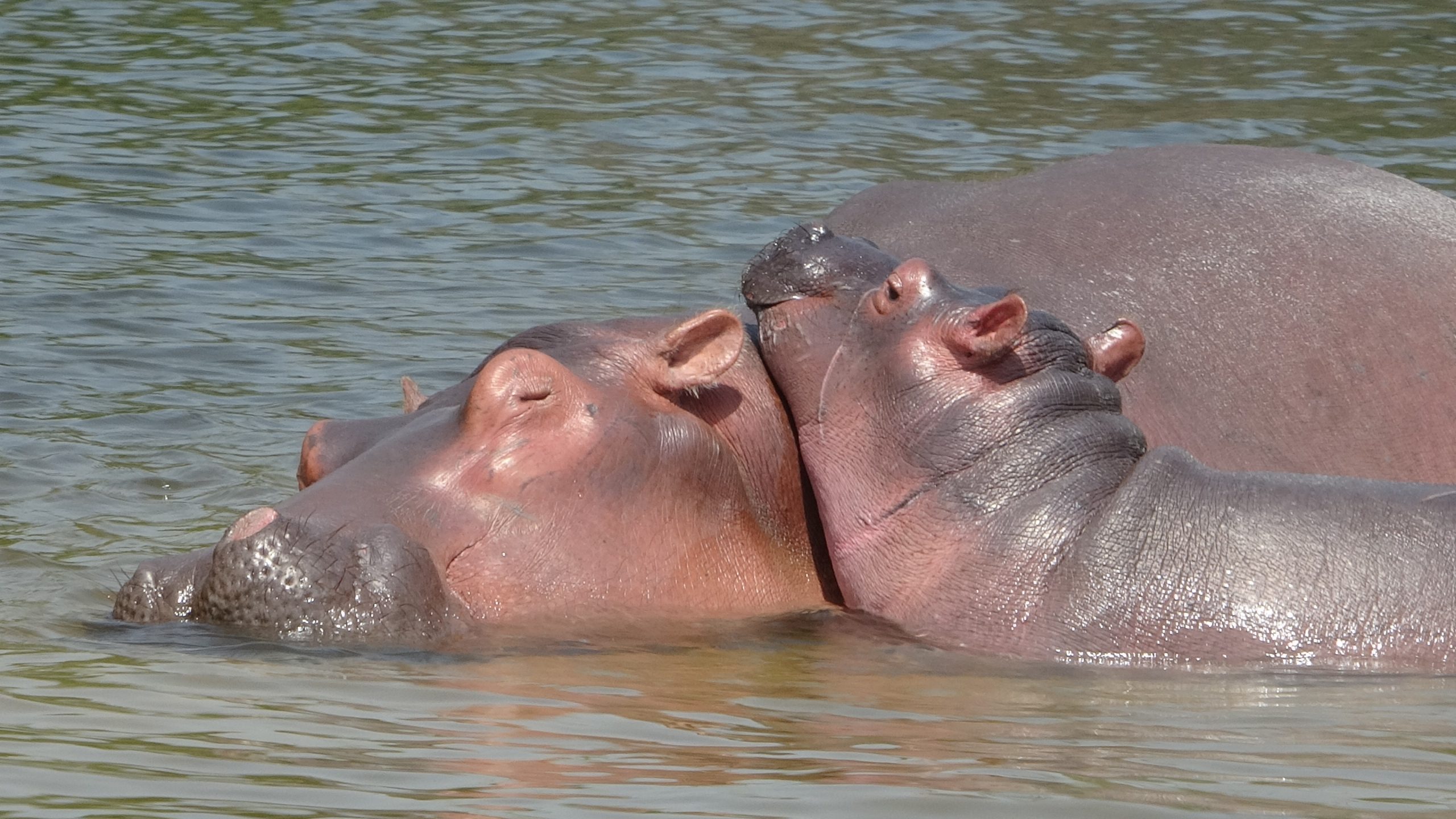 3 Day Queen Elizabeth National Park