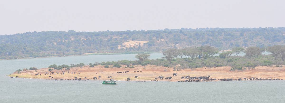 3 Day Queen Elizabeth/Mburo